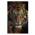 Wild Tiger Canvas Art