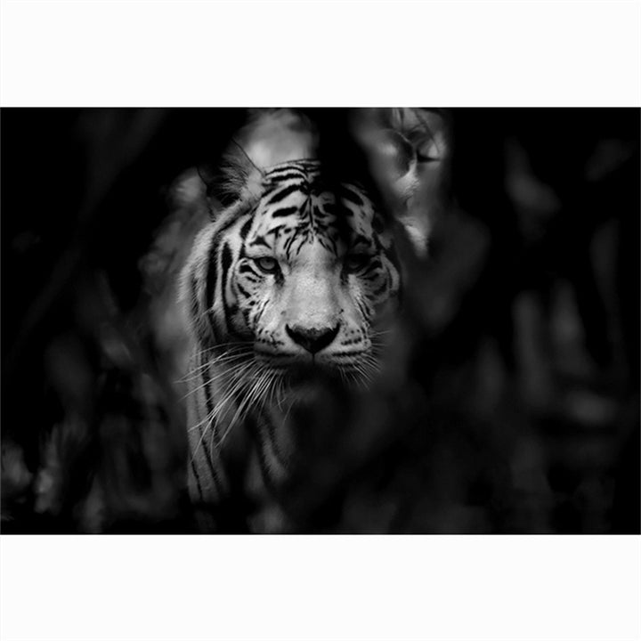 Modern Animal Canvas Painting Tiger Head Black And White Posters